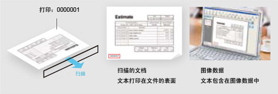 1547542724787550.jpg 22.jpg